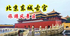 鸡巴日穴视频中国北京-东城古宫旅游风景区
